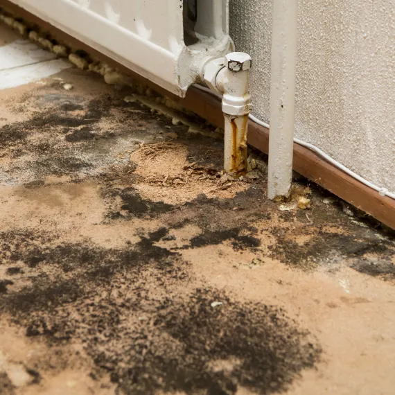 Commercial Water Damage Restoration & Structural Drying 1