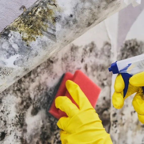 Commercial Water Damage Restoration & Structural Drying